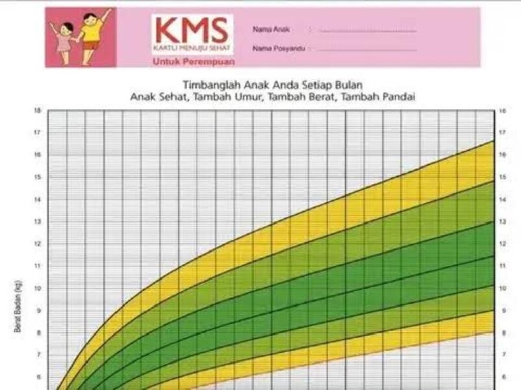 Penting! Berikut Pengertian, Kegunaan dan Cara Cek KMS Online