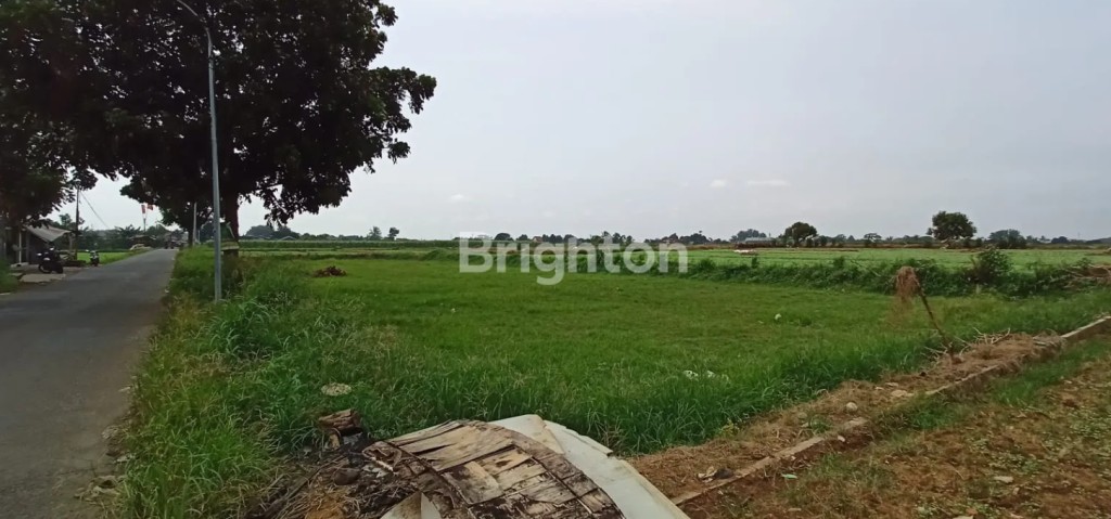 TANAH LAHAN PINGGIR JALAN RAYA KP. SAWAH BOJONG 