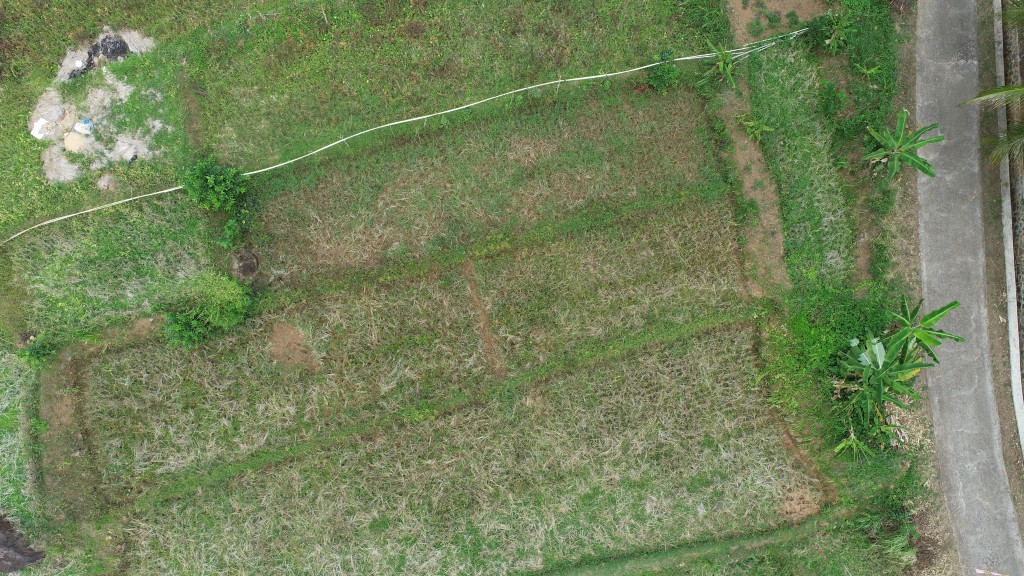 DIJUAL TANAH SAWAH  HARGA MURAH MASUK RENCANA TOL 