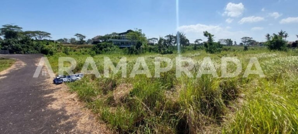 Dijual Tanah 400m2 Pantai Lima Canggu Pererenan 