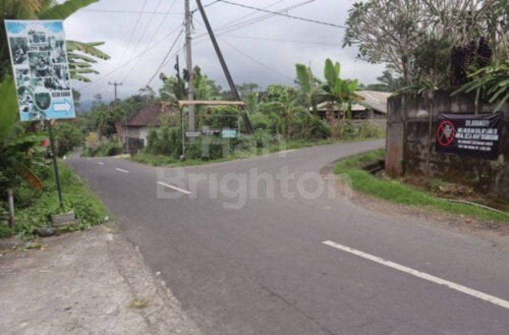 Dijual Tanah 50 Are Munduk Lumbang Baturiti 