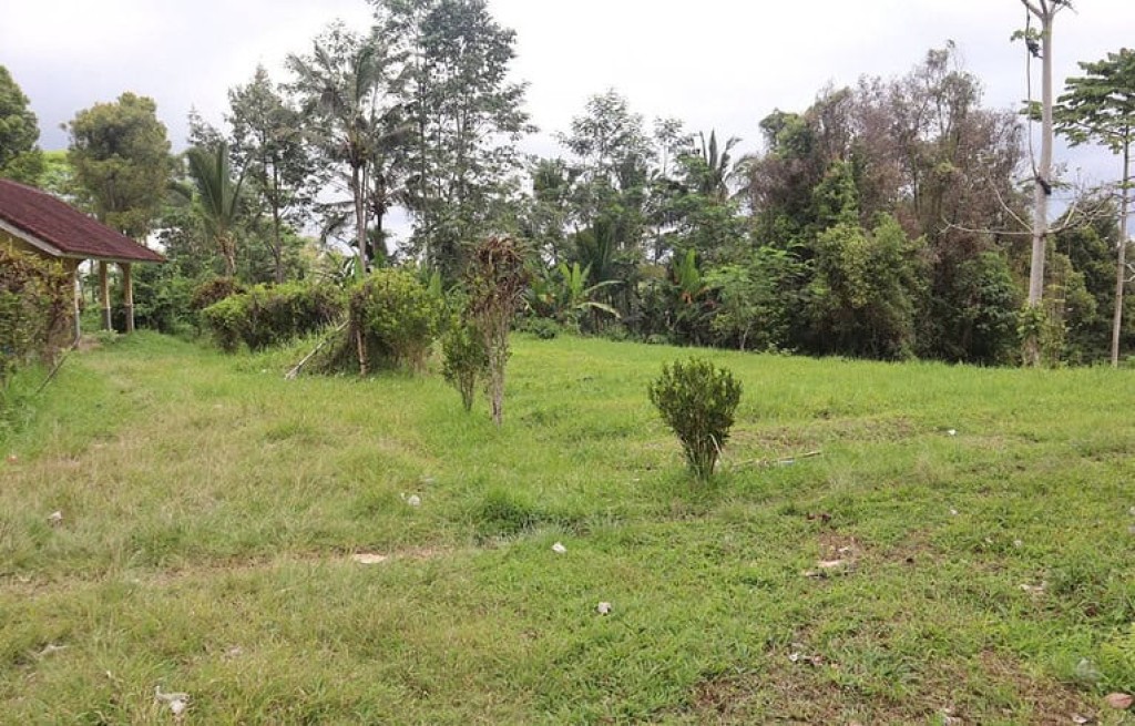 Dijual Tanah 87 Are Apuan Baturiti Tabanan View 