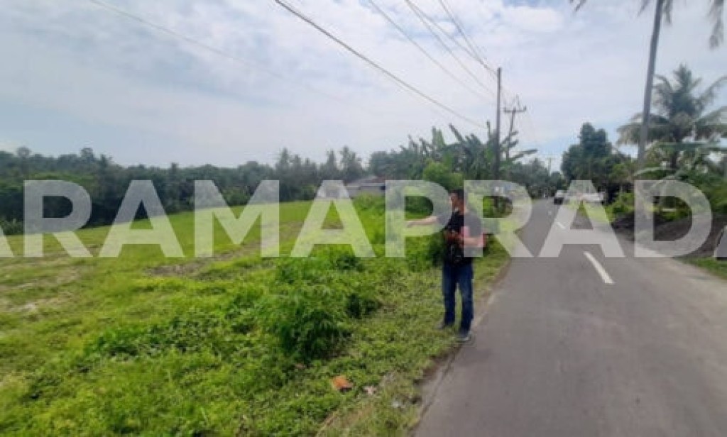 Dijual Tanah Murah 32 Are Megati Tabanan 