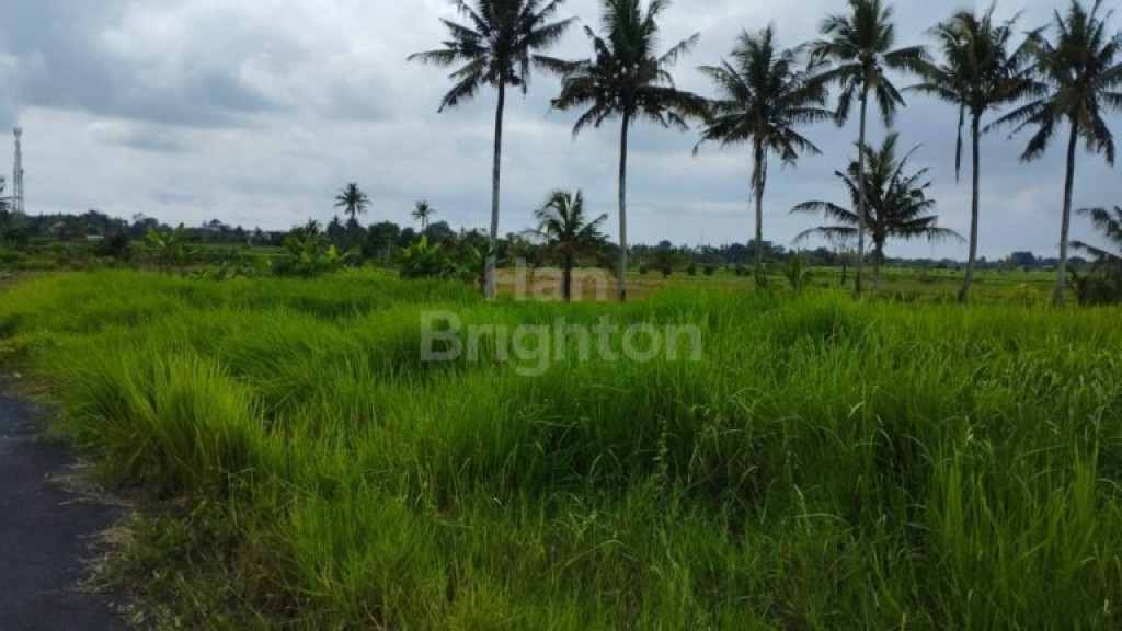 Dijual Tanah Sawah 19 Are Angantaka Abiansemal 