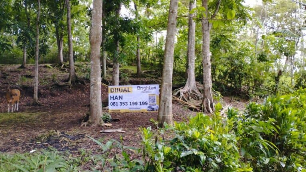 Investasi Tanah 36440m2 Baler Bale Agung Negara 