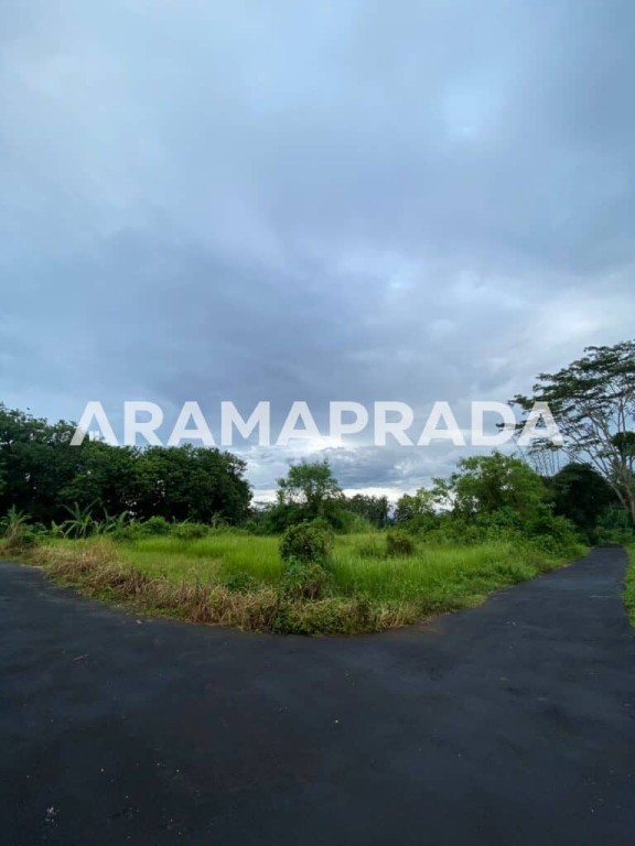 Jual Tanah 3750m2 Panglan Kapal Mengwi Badung 