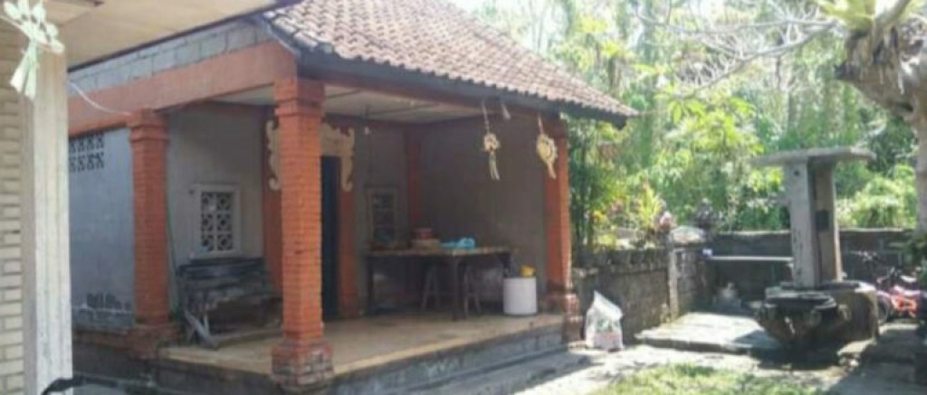 Jual Tanah 4 Are Free Bangunan Mengwi Dekat Kolam 