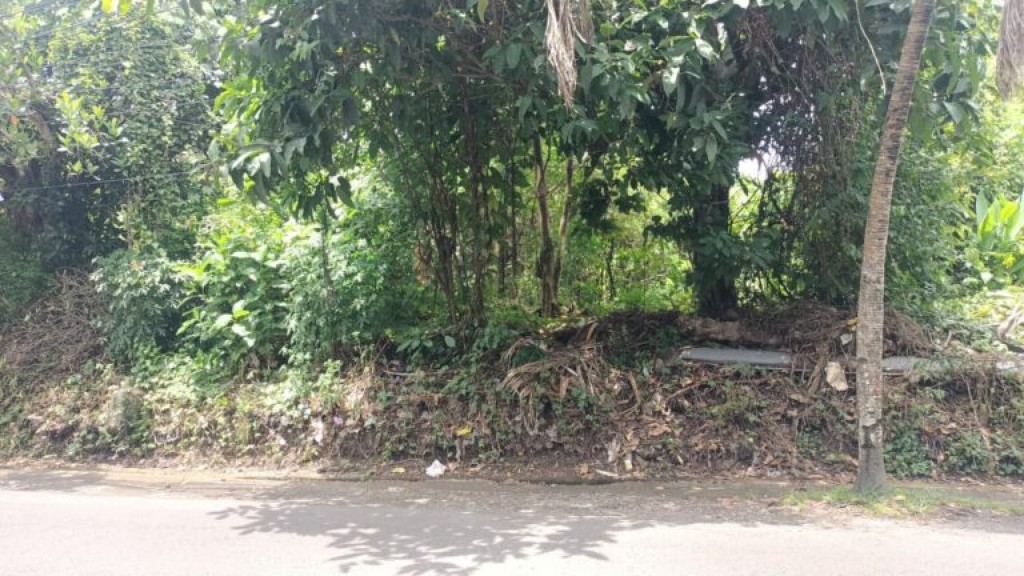 Jual Tanah 758m2 Padang Tawang Canggu 