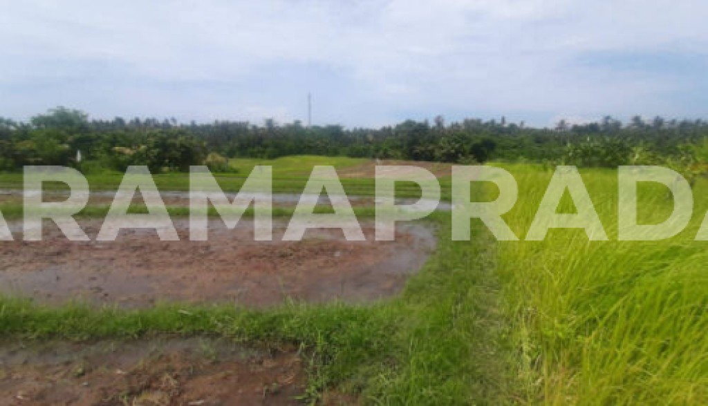 Jual Tanah Lahan Pemukiman 1,06 Hektar View Sawah 