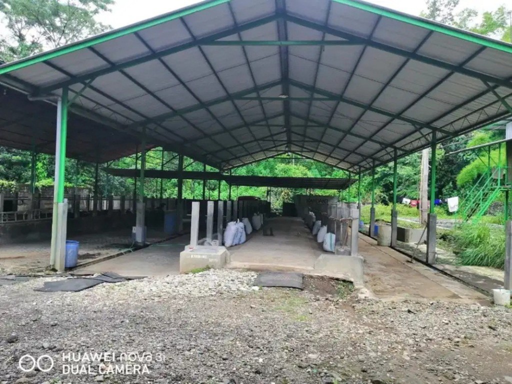 Jual Tanah dan Kandang Sapi di Area Balearjosari 