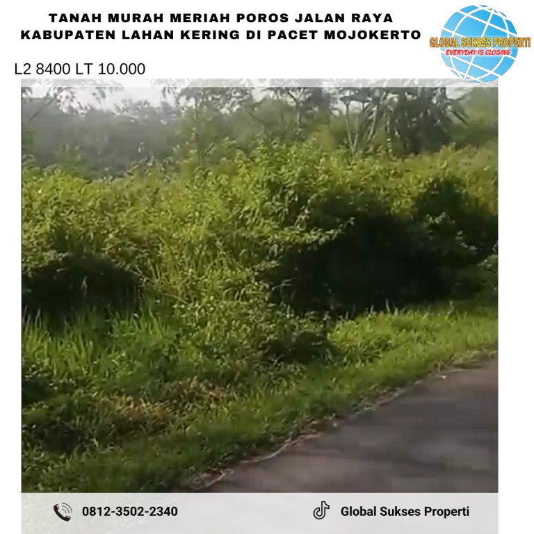 Lahan Kuning Murah Meriah Poros Jalan Raya 