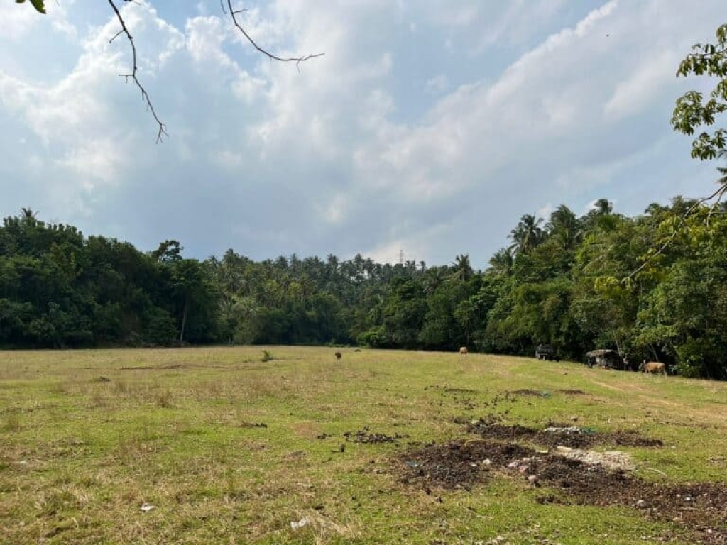 Peluang Investasi Tanah 10 Are Lalanglinggah 