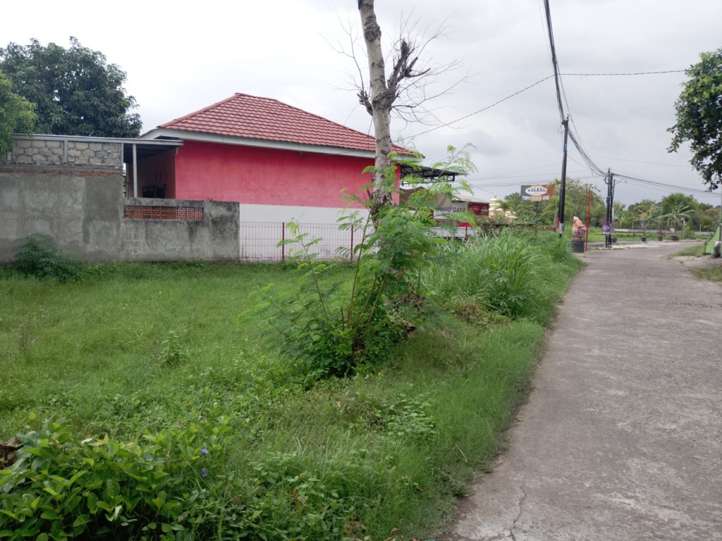 TANAH LUAS DI BERBAH, SLEMAN HANYA 8 MENIT DARI 