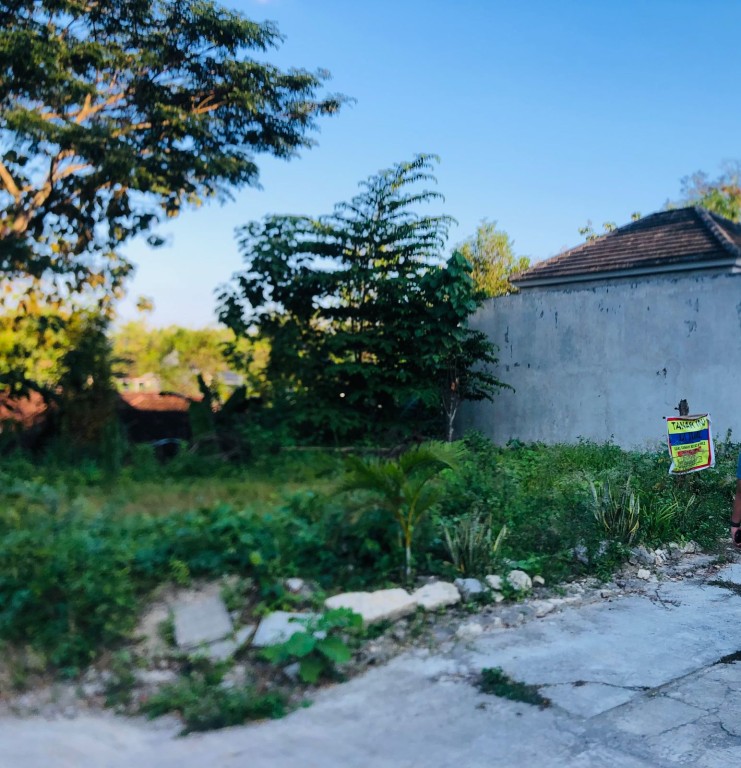 TANAH MURAH DI KASIHAN HANYA 8 MENIT DARI JALAN 