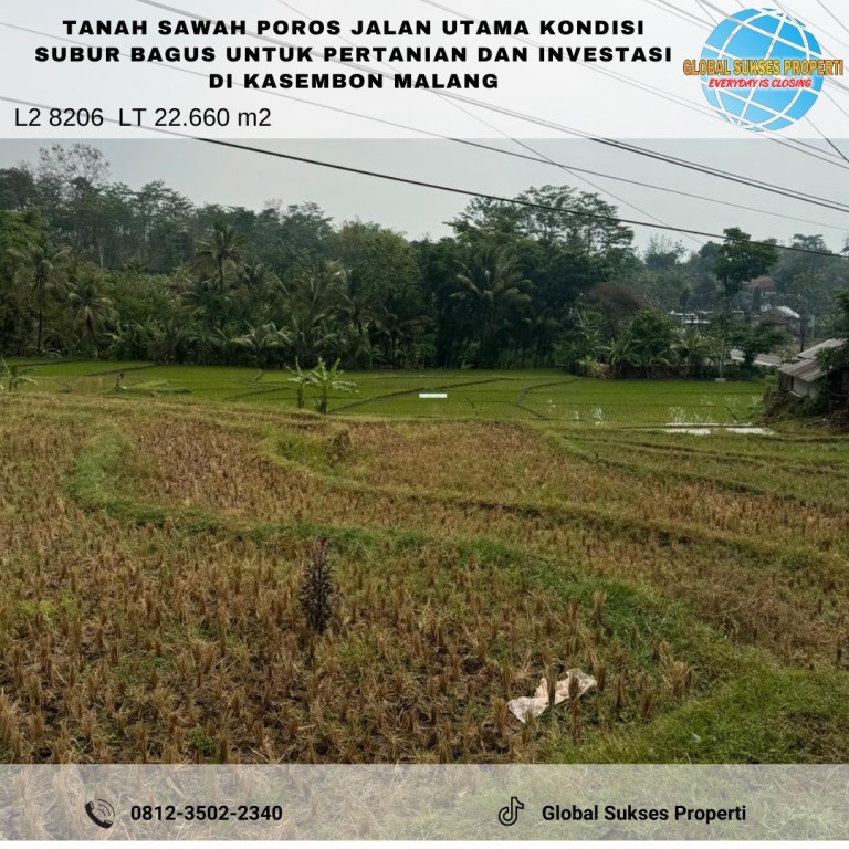 TANAH SAWAH SUBUR HARGA BAGUS DI KASEMBON 