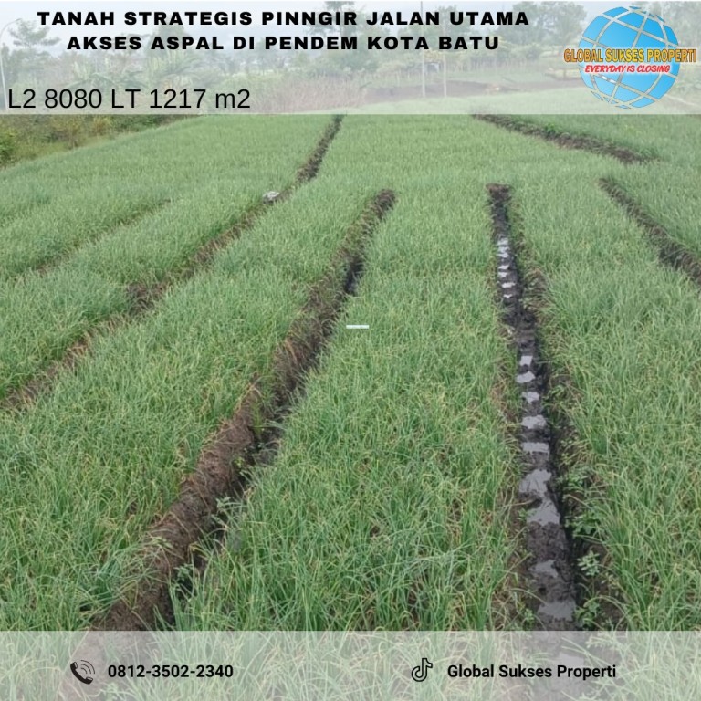 TANAH SAWAH SUBUR HARGA ISTIMEWA DI JUNREJO KOTA 