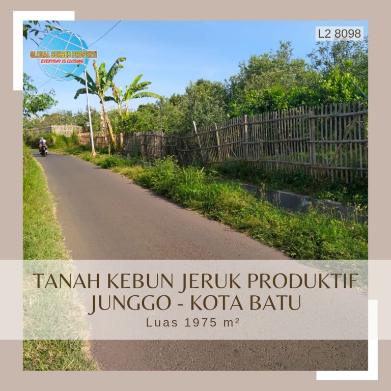 TANAH SUBUR KEBUN JERUK HATGA ISTIMEWA DI BUMIAJI 