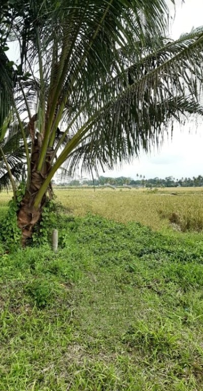 Tanah 142 m2 di Kendalpayak Pakisaji Malang 