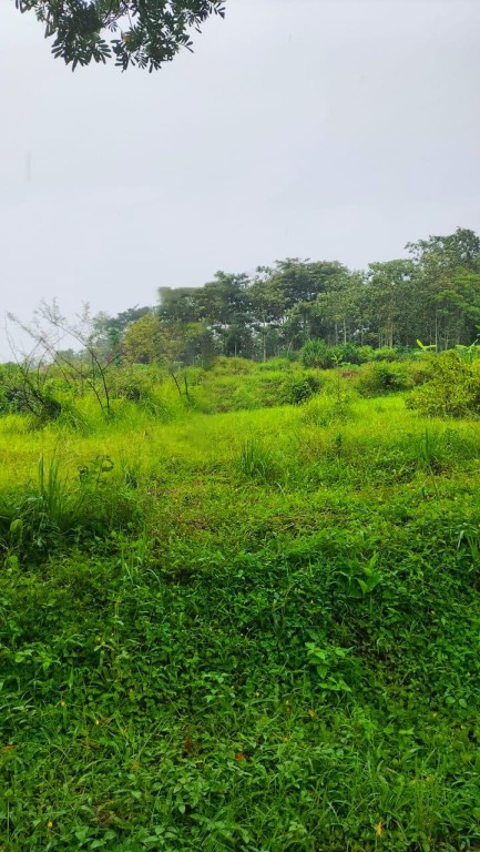 Tanah 3849 m2 Dekat Objek Wisata Kota Batu 