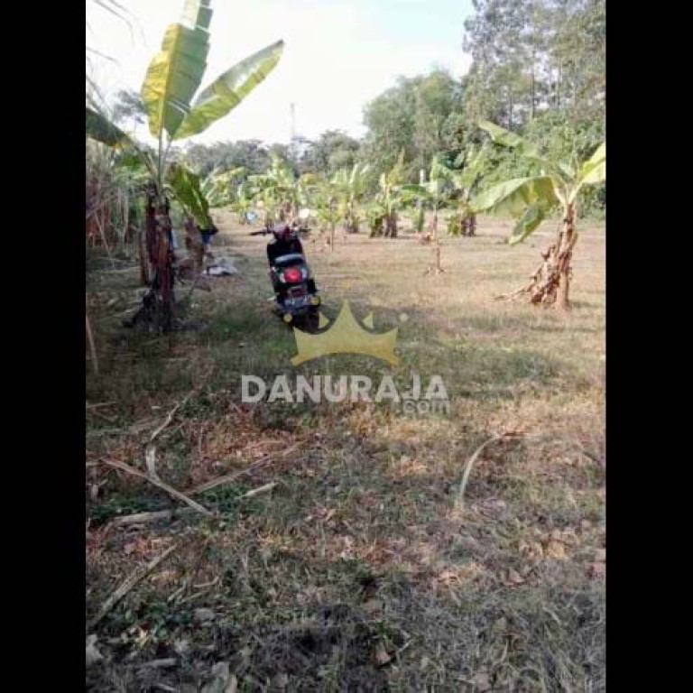 Thumbnail Tanah Kediri Kabupaten -144m2- Kandat