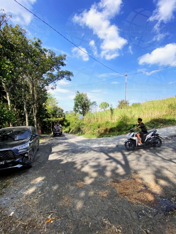 Tanah Lahan Kuning Potensial Dekat Area Kampus 