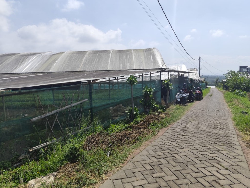 Tanah Murah Pemandangan Terbaik Sejuk Segar Untuk 