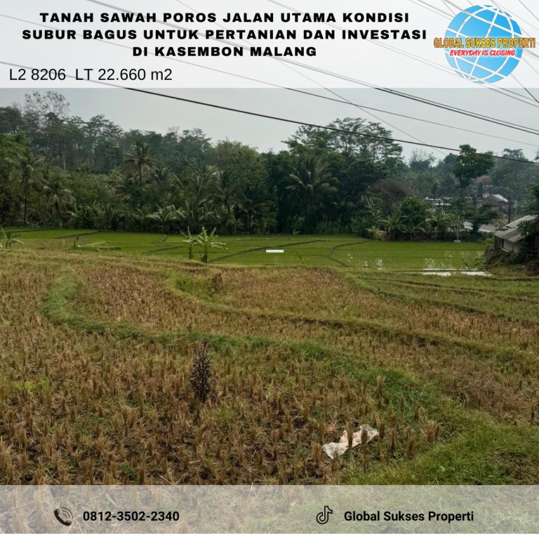 Tanah Sawah Di Poros Jalan Kondisi Subur Utk Tani 