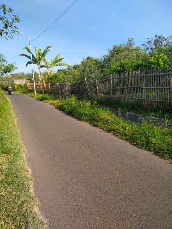 Tanah kebun jeruk produktif murah di Junggo Batu 