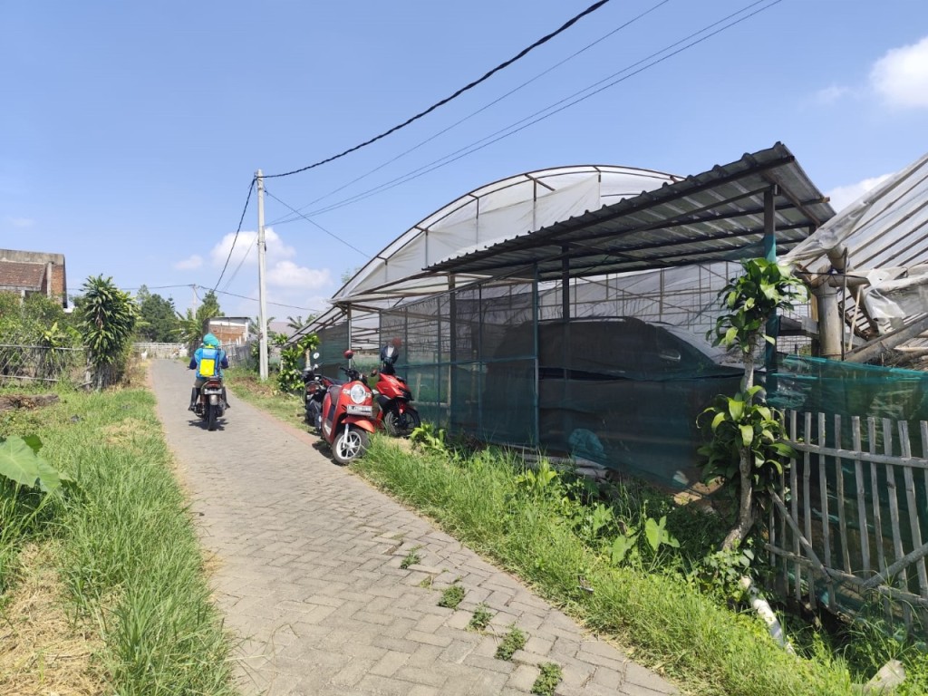 Tanah murah bagus untuk perkebunan sayur di 