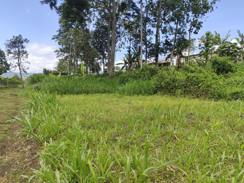 Tanah subur dan strategis view bagus di kota Batu 