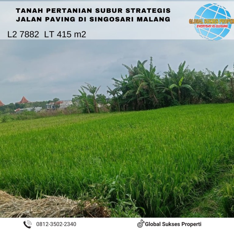 Tanah subur di tunjungtirto Singosari Malang 