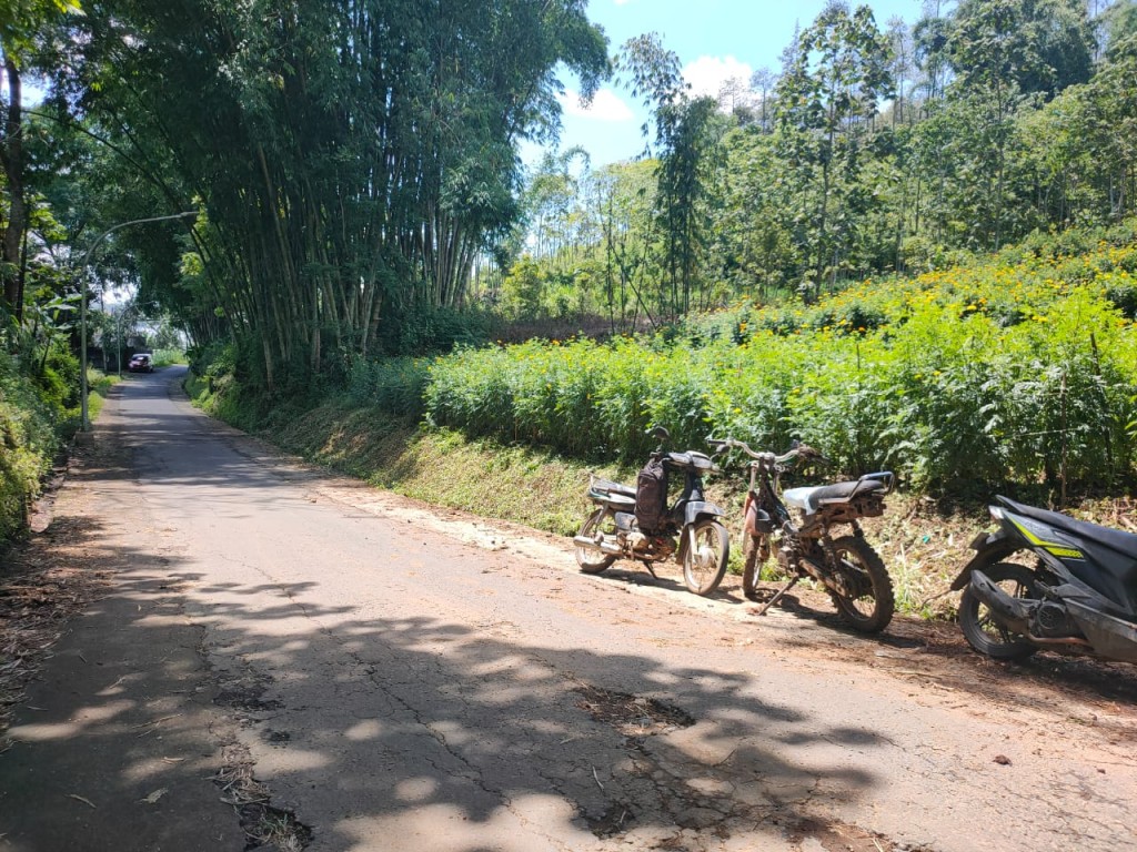 Tanah super murah di Sumberejo arah Gunungsari 