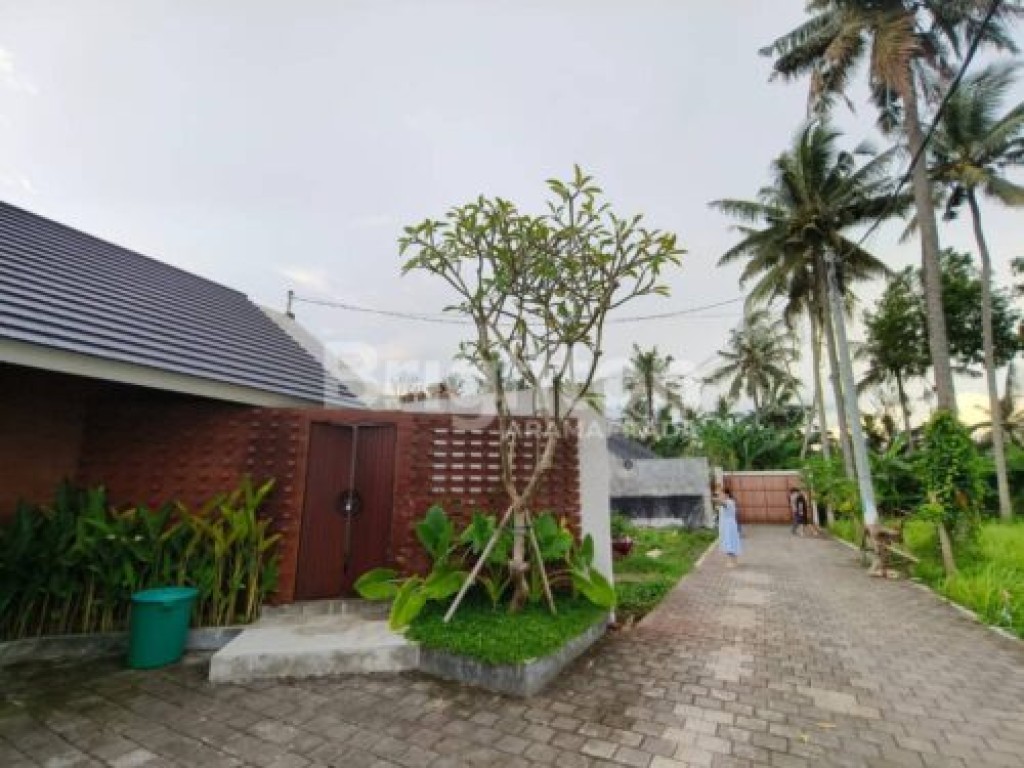 Villa Private Pool Desain Indah Investasi Bagus 