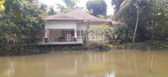 TANAH BONUS RUMAH TAJUR HALANG BOGOR