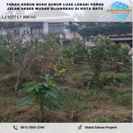 BU Kebun Subur Utk Sayur Dan Buah Lokasi Mudah Dijangkau Di Kota Batu