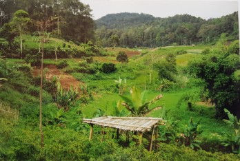 DIJUAL TANAH COCOK UNTUK PERTANIAN DAN PETERNAKAN