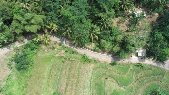 DIJUAL TANAH SAWAH DAN KEBON HARGA MURAH MASUK RENCANA TOL CIGANTIS