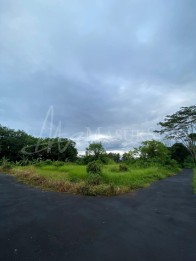 Dijual Tanah 3750m2 Panglan Kapal Mengwi Badung