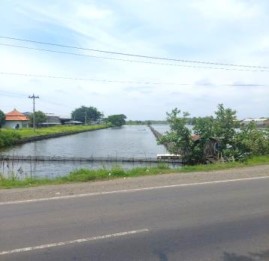 Dijual Tanah Kosong di Desa Mororejo, Jawa Tengah