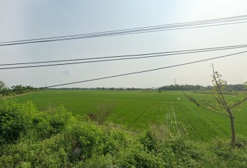 Dijual Tanah Sawah Luas Shm di Desa Bakung Tangerang