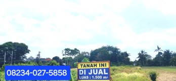 Dijual tanah 1500 m2 di Mengwi Badung Bali dkt Tabanan kota