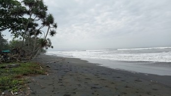 Dijual tanah pinggir pantai Penyaringan Mendoyo Jembrana Bali