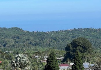 Dijual tanah view Danau Buyan 8550 m2 Wanagiri Sukasada Buleleng Bali