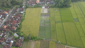 Dijual tanah view sawah di Kelating Tabanan Bali