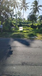 Disewakan Min 5 Tahun Tanah 6 Are Hadap Barat Rangdu Seririt Buleleng Bali