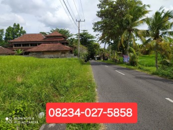 Disewakan tanah 2825 m2 di Kaba - Kaba Tabanan dkt Seseh,Munggu,Canggu Bali