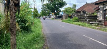 Disewakan tanah 4 are di Marga Tabanan Bali