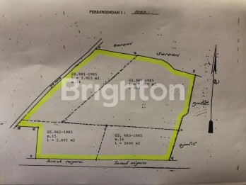 JUAL LOKASI GAMBIR KUNING, RAYA KEJAYAN