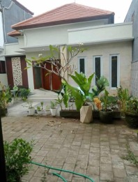 Jual Rumah Cantik Baru 1 Lantai 2 Kamar Abianbase Mengwi Badung