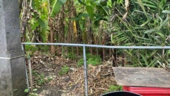 Jual Tanah Zona Kuning Area Pengending Badung Bali 1230m2